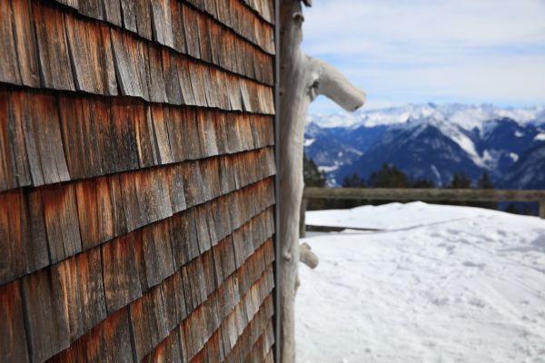 Cedar Siding Repair in Westerville