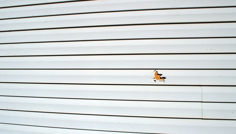 Weather Damage Repair